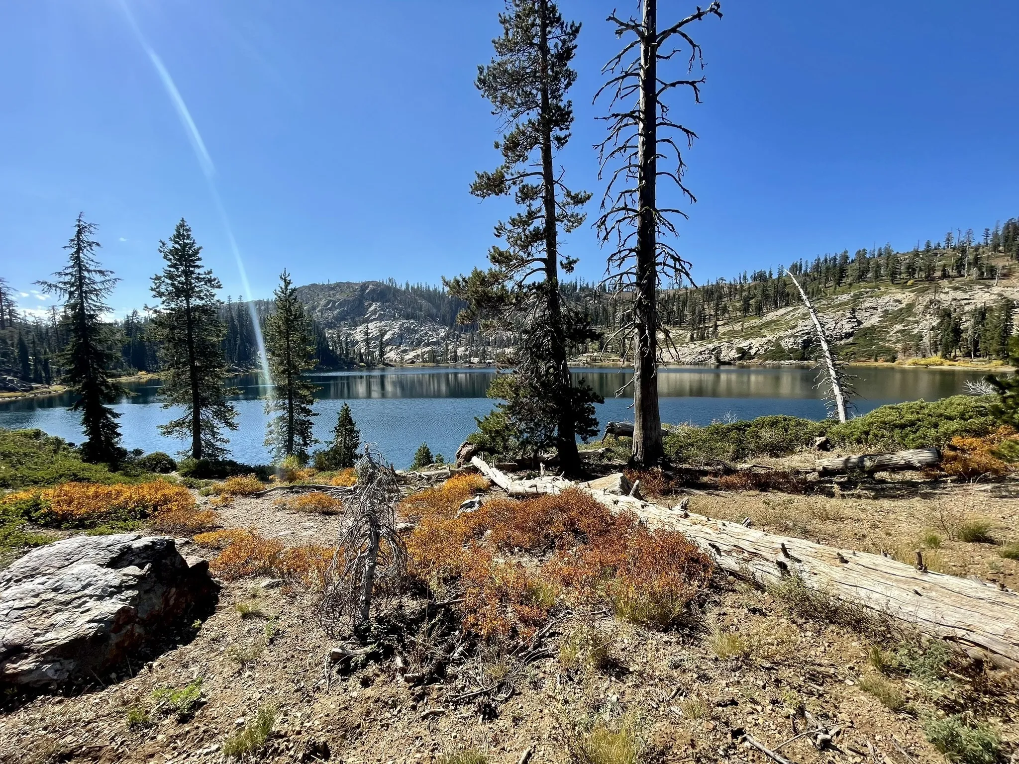 Deer Lake