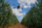 Agrarian Drones by Skywalk Drobotics