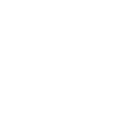 Artboard 80 copy 4.png