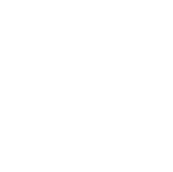 Artboard 80 copy 3.png