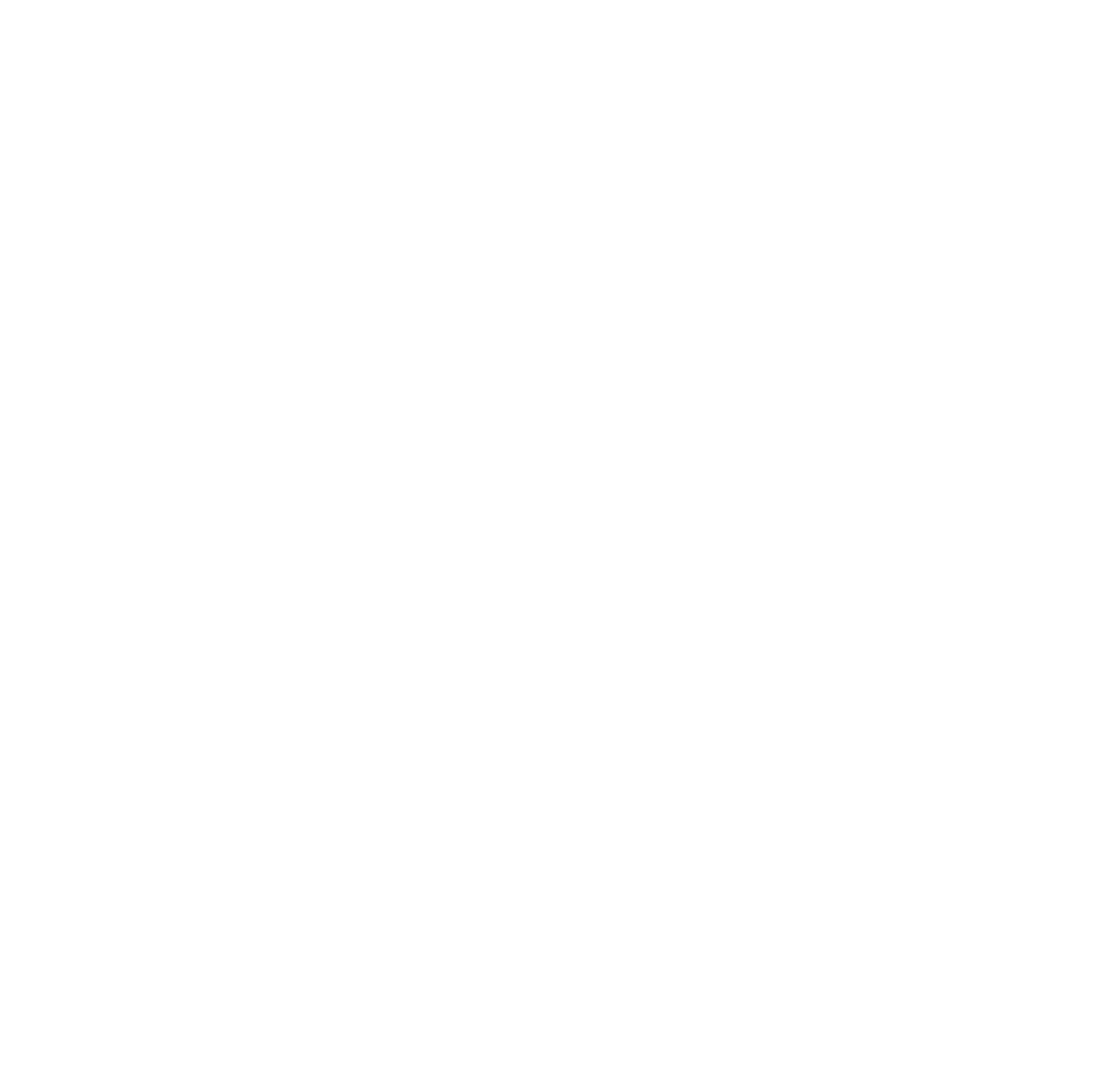 IB Logo no text hi res - white.png