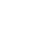 Artboard 80 copy 5.png