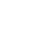 Artboard 80 copy 2.png