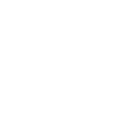 Artboard 80 copy.png