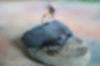 Wet Fly Tactics
