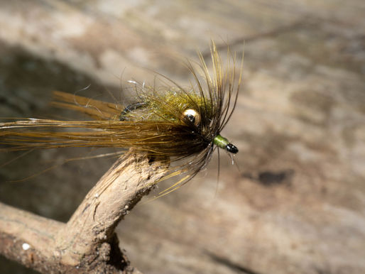 Fly Fishing the Olentangy River