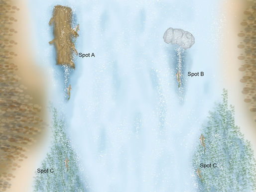 Improve Your Skill at Reading Water for Fly Fishing: Riffles