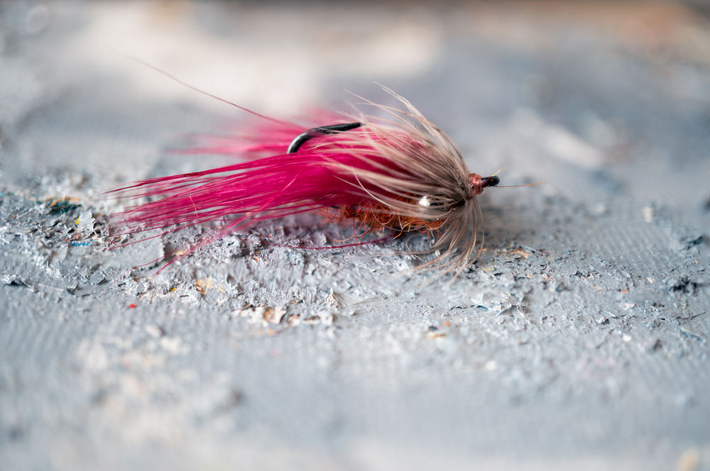 A Guide to Feathers Used in Fly Tying