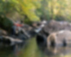 fly fishing photography fly fishing photographer
