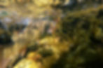 fly fishing photography fly fishing photographer