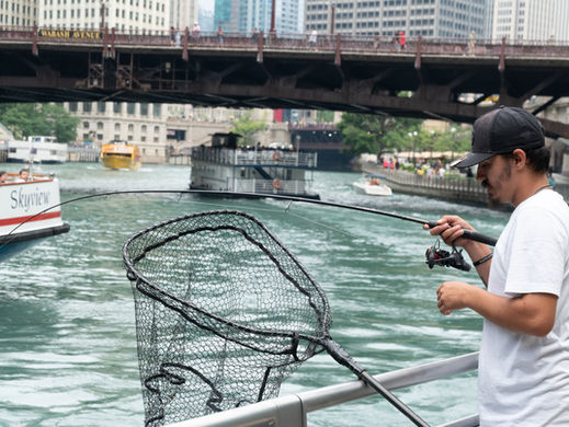 Urban Fishing in Chicago