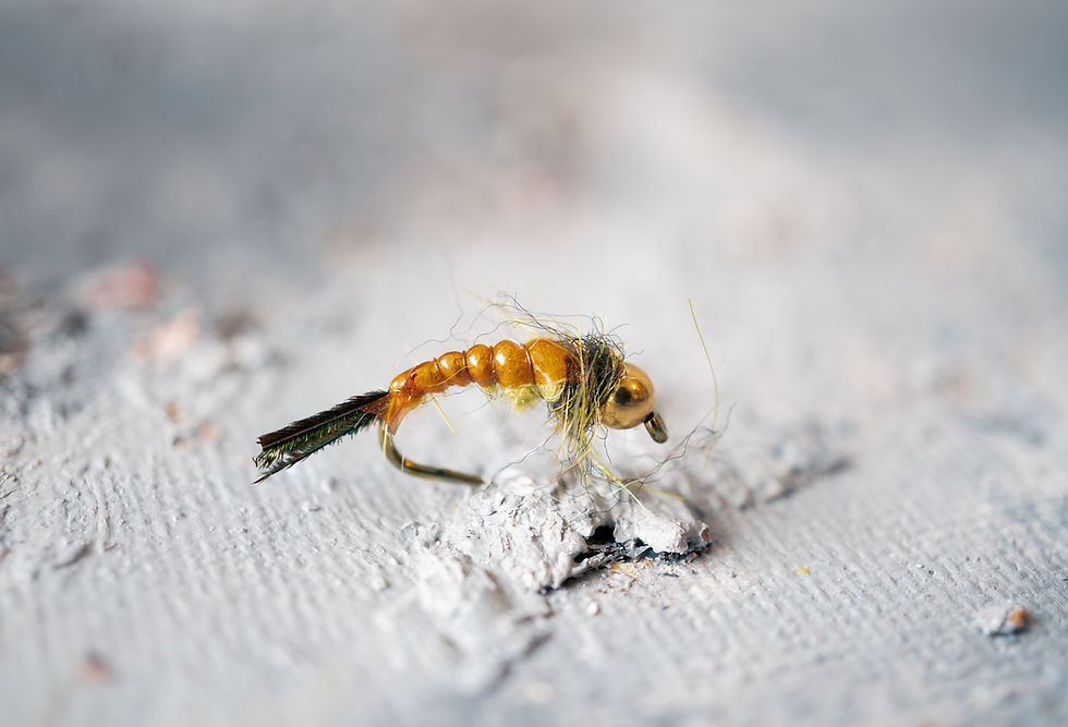 fly tying with peacock herl