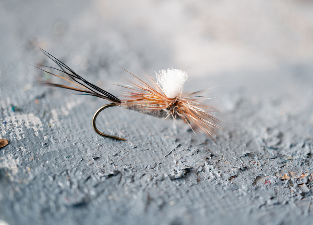 A Guide to Feathers Used in Fly Tying