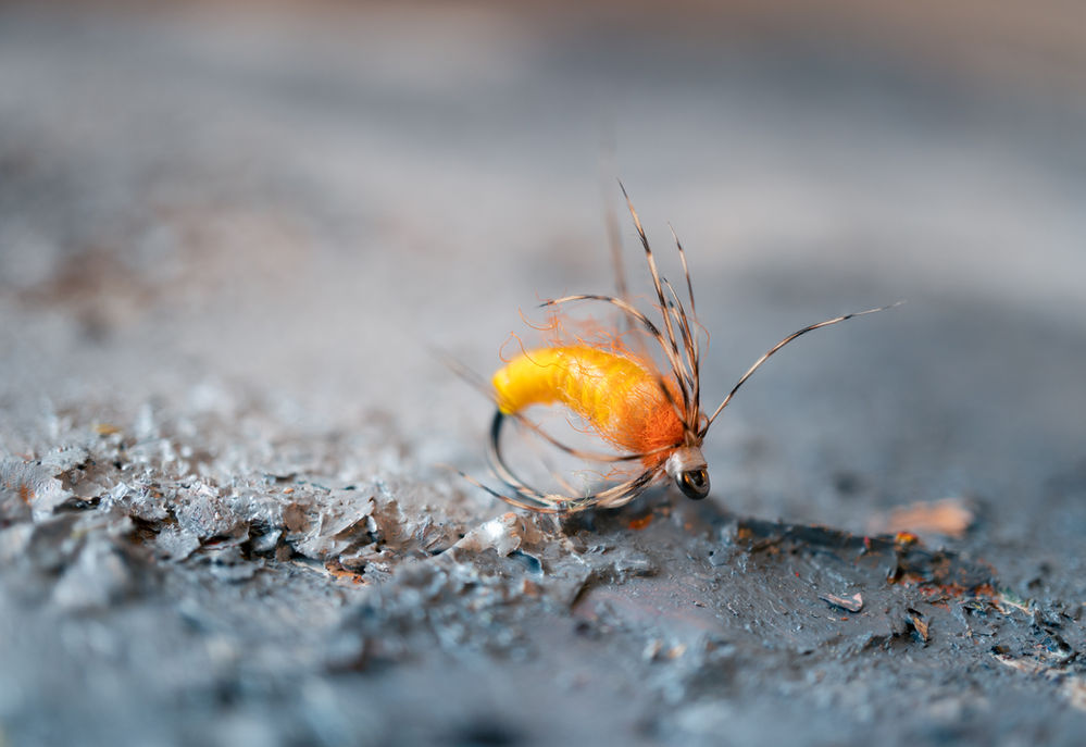 A Guide to Feathers Used in Fly Tying