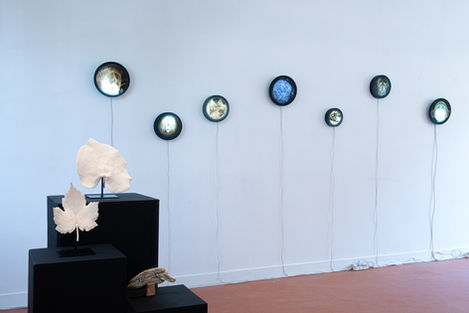 Vues de l'exposition Instants fragiles à la galerie Mariton, ville de Saint-Ouen, exposition personnelle, solo show, dessins au bic, sculpture, gravure sur radiographies, négatoscope, radio animale, radio humaine, je suis végétal, céramique, biscuit