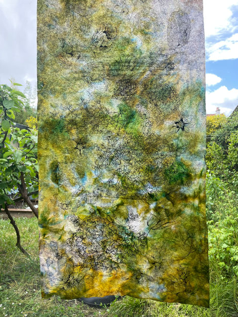 représentation des plantes, herbier, représentation scientifique, illustration, adventice, stellaria media, mouron des oiseaux, plantes sauvages des villes, nature urbaine