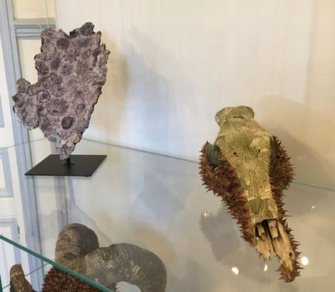 dessins sur écorce papier japonais marouflé, cranes, os, oursins