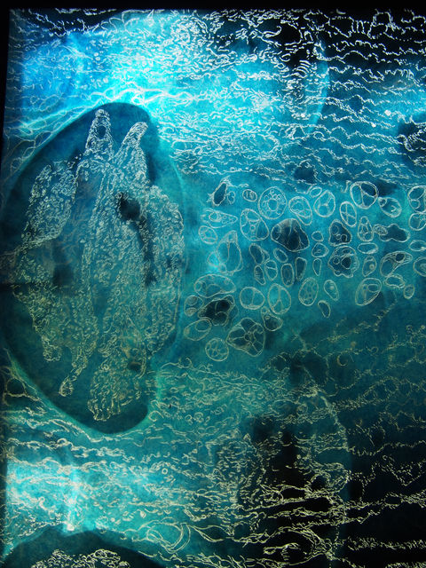 engraving on human and animal radiography
microscopy
medical imaging