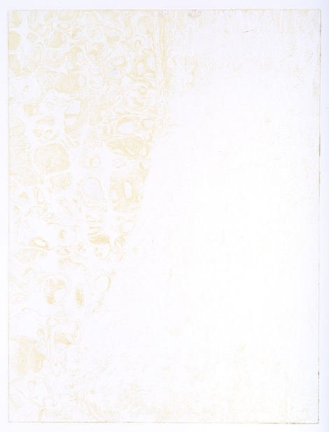 Hybride (arbre-os au microscope), 2025, gravure sur papier, 50x40cm, gaufrage, gravure encre transparente, image fantôme, eau-forte