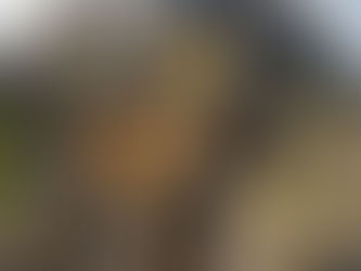 💍 Dalla Virginia al cuore di Ischia: sulla vetta del Monte Epomeo è arrivata la promessa più bella.