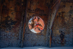 DSC06631-Enhanced-NR