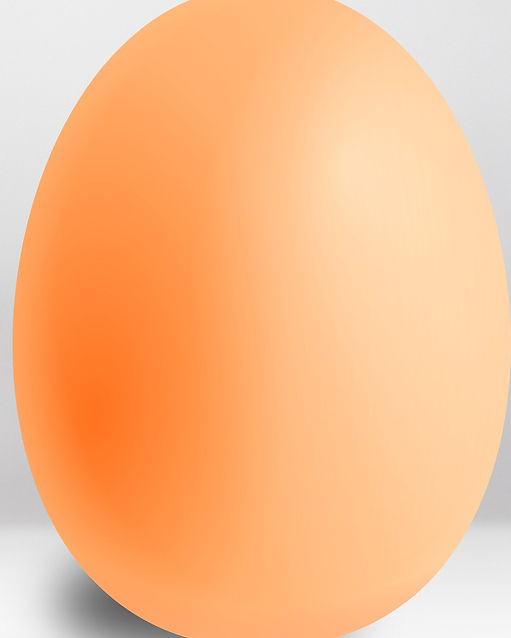 Codice di tracciabilità per le uova fresche