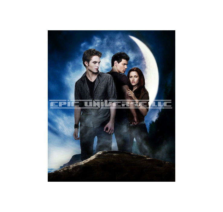 Thumbnail: Custom Made 1-Inch 2009 Twilight New Moon Trading Card Album Binder