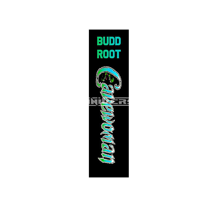 Thumbnail: Custom Made 3-Inch 2015 Budd Root Cavewoman Trading Card Album Binder