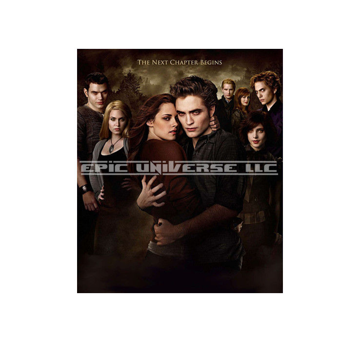 Thumbnail: Custom Made 1-Inch 2009 Twilight New Moon Trading Card Album Binder