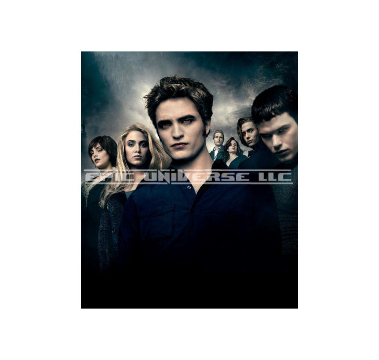 Thumbnail: Custom Made 1-Inch 2010 Twilight Eclipse Trading Card Album Binder