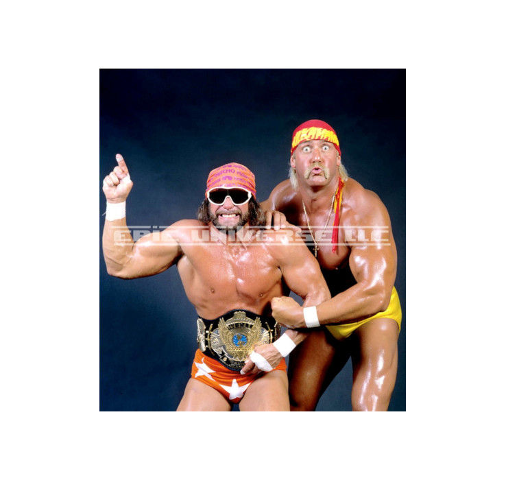 Thumbnail: 3-Inch WWF World Wrestling Federation Collector's Back Album Binder Cover, Hulk Hogan and Macho Man.