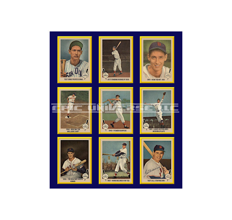 Thumbnail: 1-Inch 1959 Fleer Ted Williams Baseball Trading Card Back Album Binder Cover.