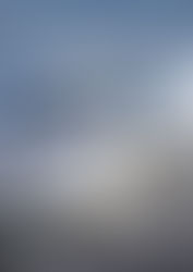 Need For Speed Shift (2009)