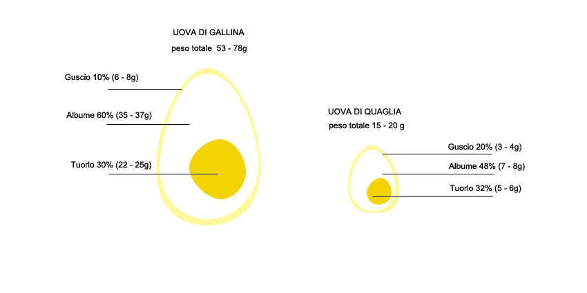 Quanti Minuti Ci Vogliono Per Fare Le Uova Sode