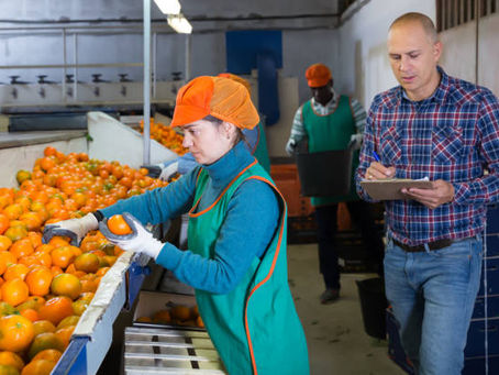 How Can Food Distribution Programs Collaborate and Enhance Synergy?