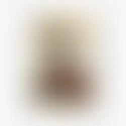 The Honest Professional: On Truth, Training, and the Wish to Be Real