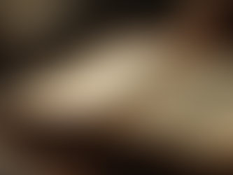 Neon Sarcasm: Challenging Historical Perceptions