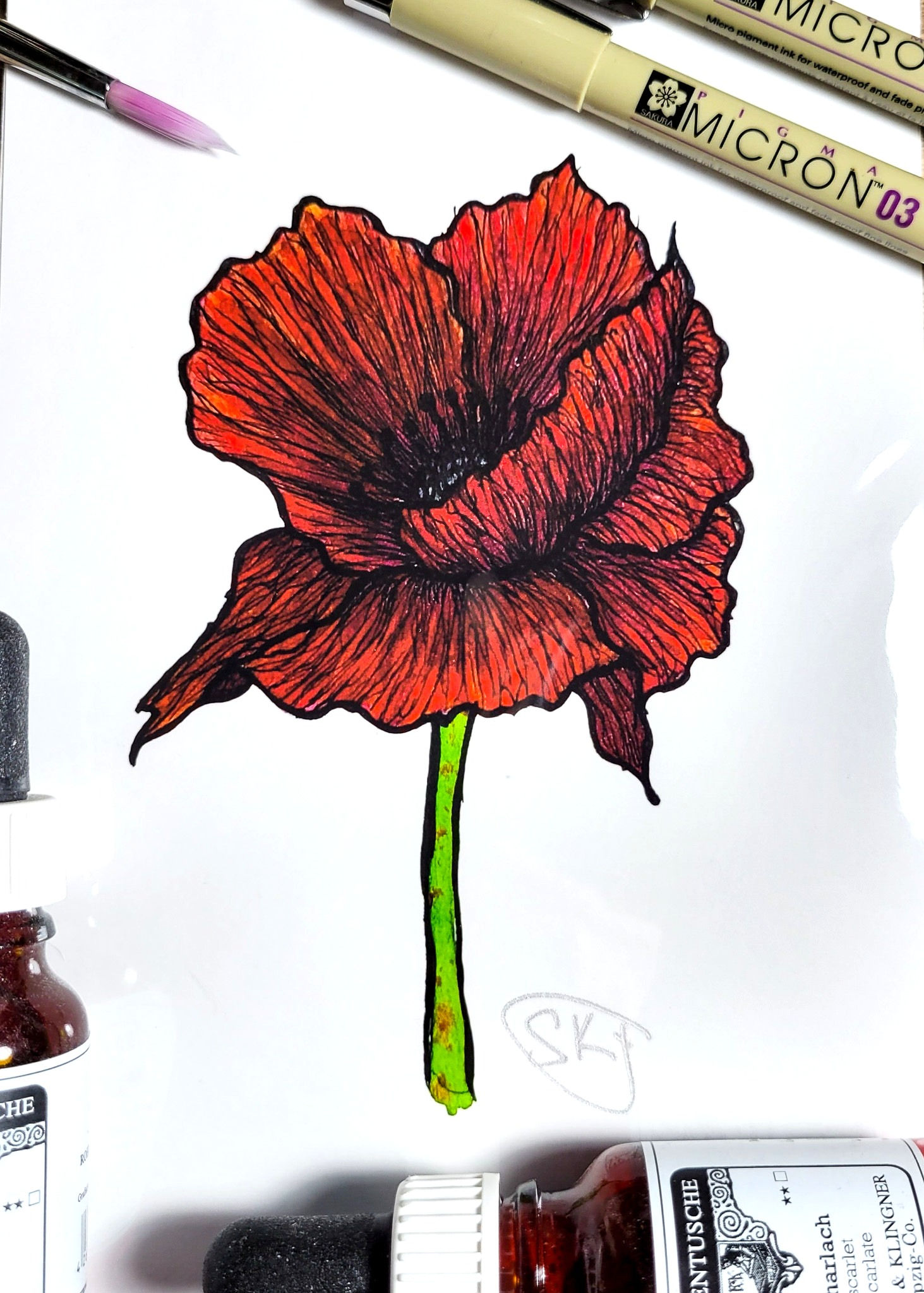 'Poppy' Print