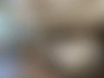 Enhance Your Home with Premium Bunk Beds