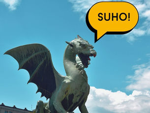 Slovenian Wine Terms - let's discover together!