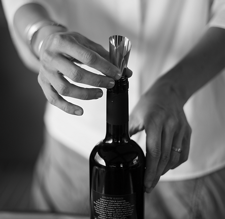 Turkish Wine specialist Uncork the Untold.png
