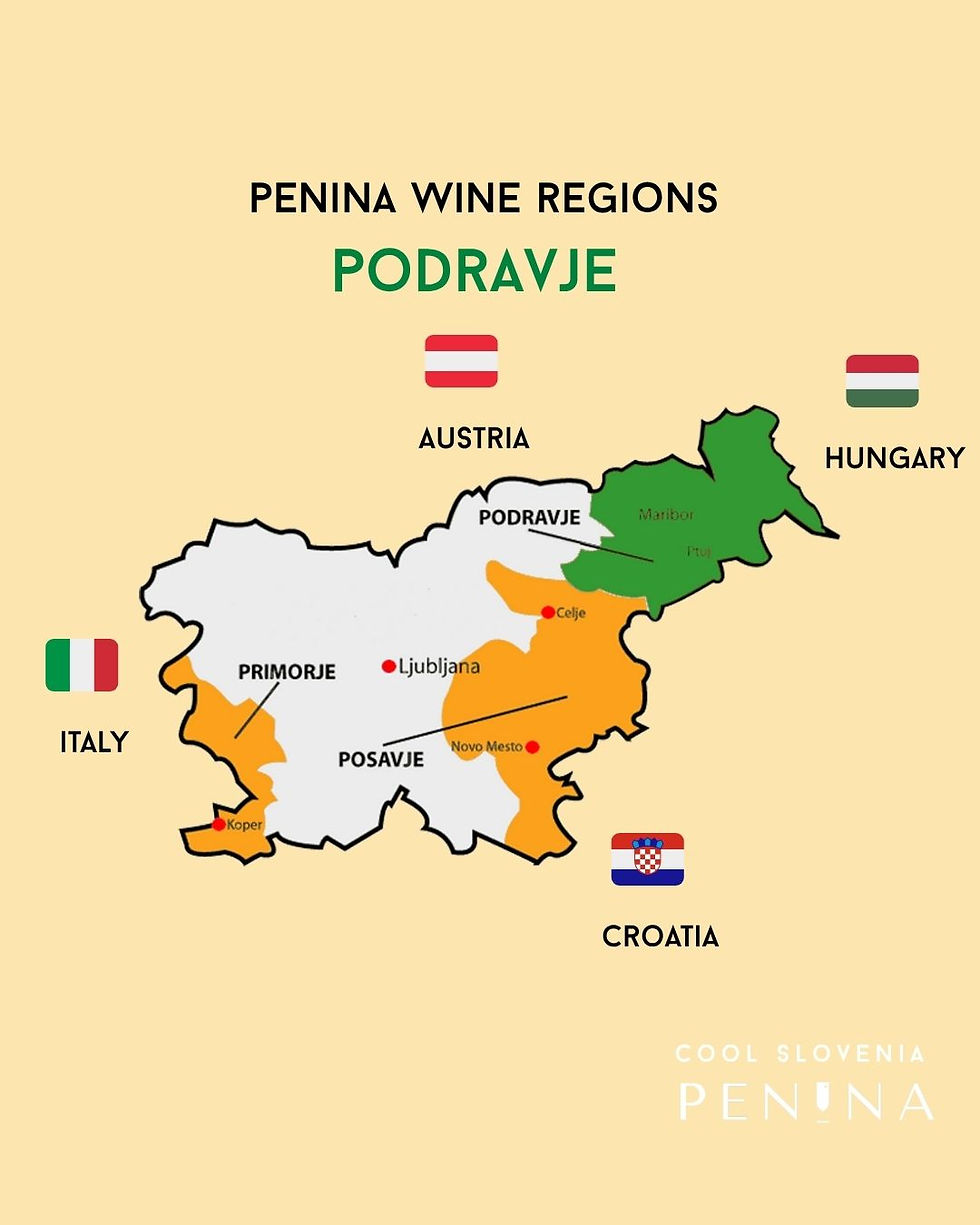 Podravje map Slovenia Penina Wine Regions