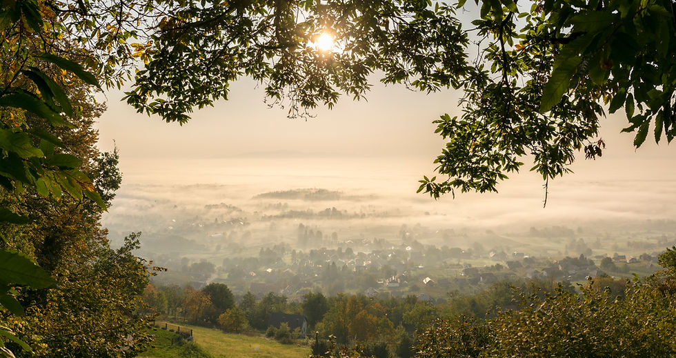Autumn_morning_in_Bela_krajina_(45285724382).jpg