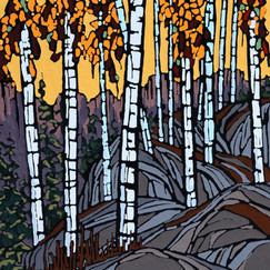 Birch Mountain 12x12