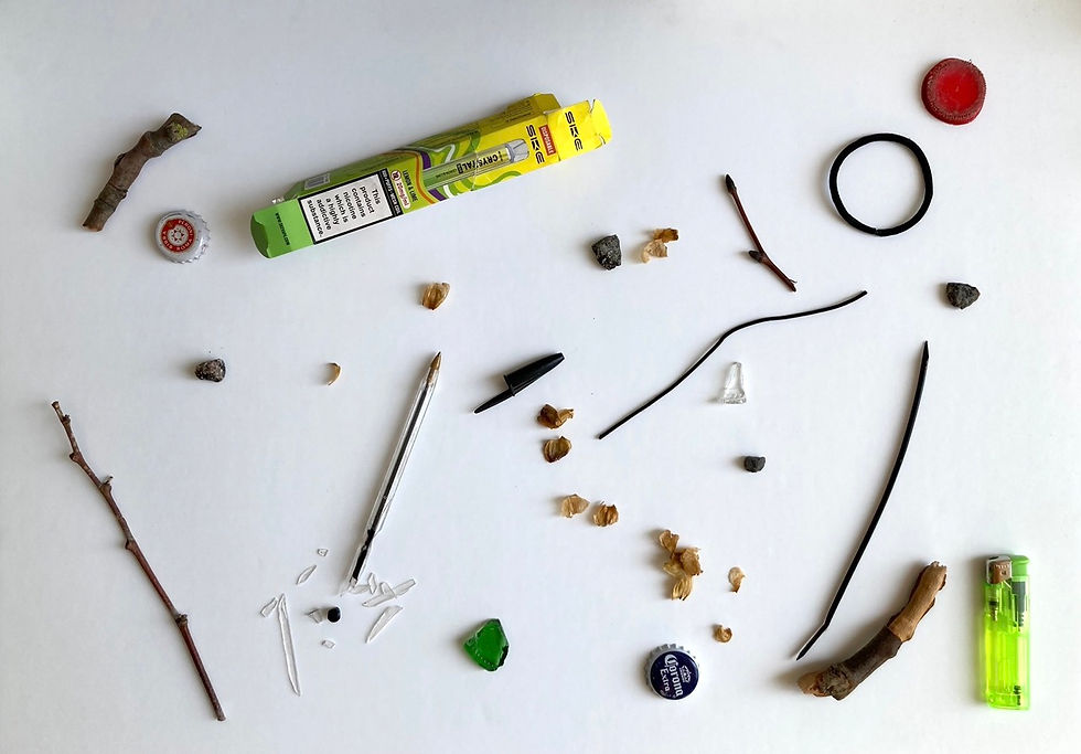 A collection of urban debris - broken twigs from street trees, discarded packaging, and various items left behind.