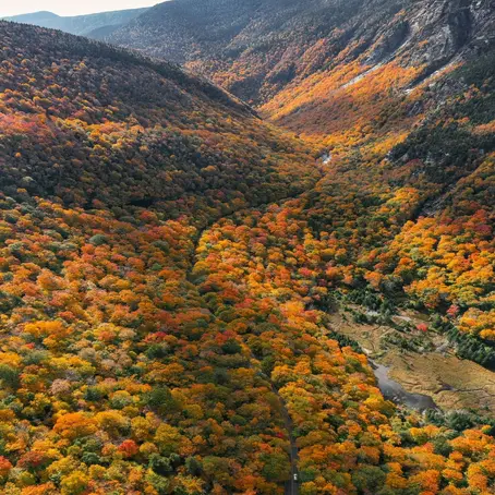 Experiencing New England in Fall: Hidden Gems, Scenic Drives, and Local Flavors