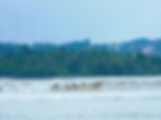 Mentawai Land and Sea