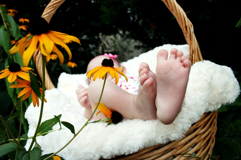 Placenta Encapsulation Glasgow: Myths vs. Facts