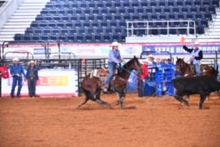 McCoy's Farm and Ranch Family: Region IV Andrews Family