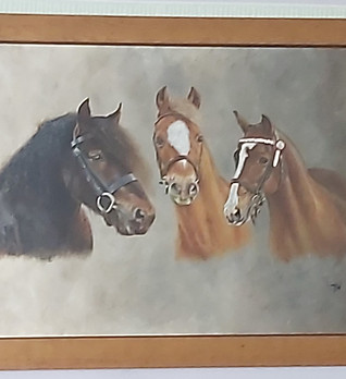 3 x horses.jpg